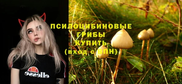 соль курить ск Каменка