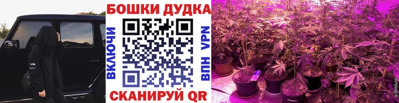 Купить  Барнаул  Бошки Шишки SATIVA & INDICA 